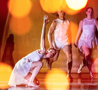 Take Root: The Fundraiser