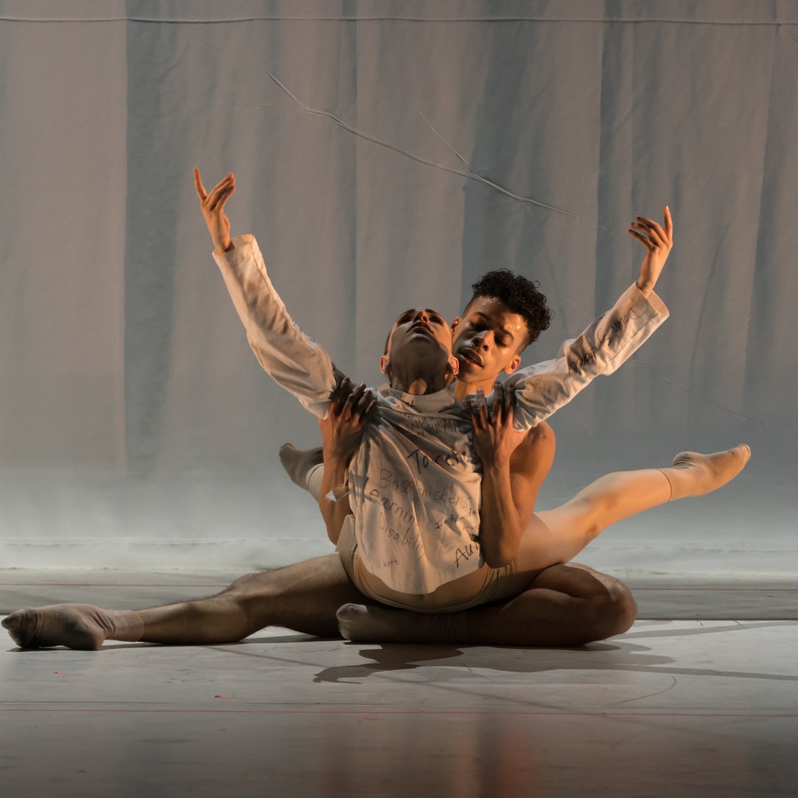 Eisenhower Dance Detroit Presents A Soldier's Tale